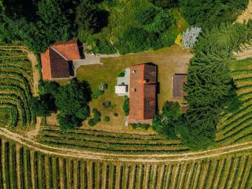 Südsteirische Alleinlage umgeben von Weinbergen mit traumhaftem Panorama!