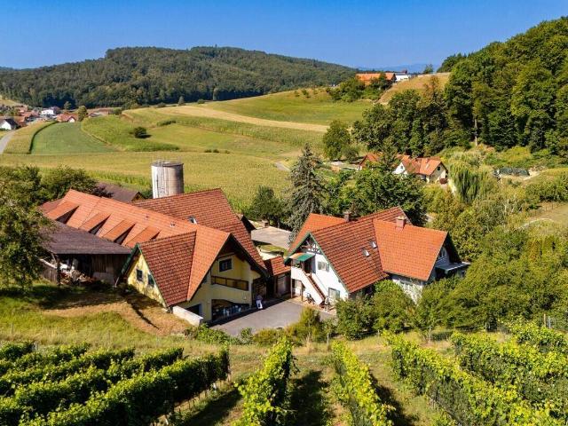 SÜDSTEIRISCHE RARITÄT MIT 33.753 m² GRUND 7 WOHNUNGEN & UNENDLICH VIELE MÖGLICHKEITEN!