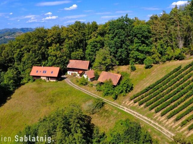 SÜDSTEIRISCHE WINZER RARITÄT – EIN PRIVATES REFUGIUM DER BESONDEREN ART!