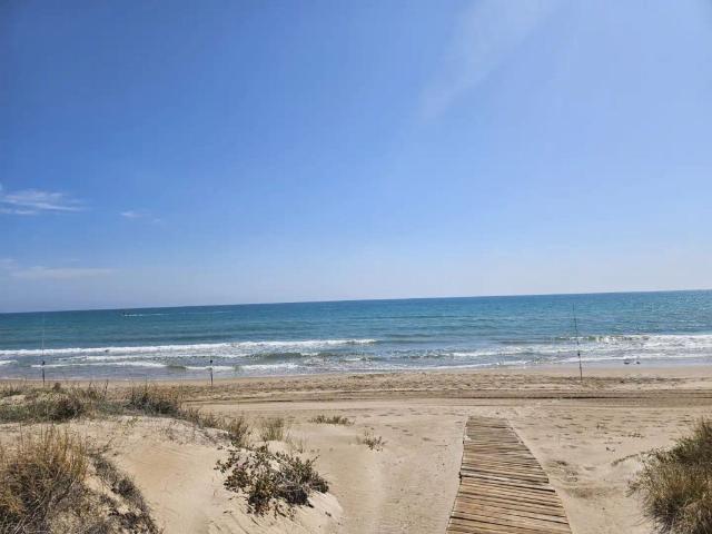 Sueca