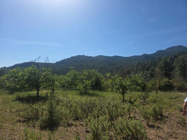Casa rural en venta, Moratalla, Murcia
