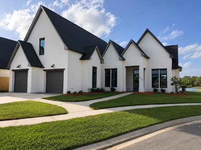Sugar Cane Palm Cir