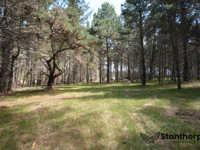 SUGARLOAF 5 ACRE EX FORESTRY BLOCK WITH REMAINS OF BEAUTIFUL OLD PINE FOREST