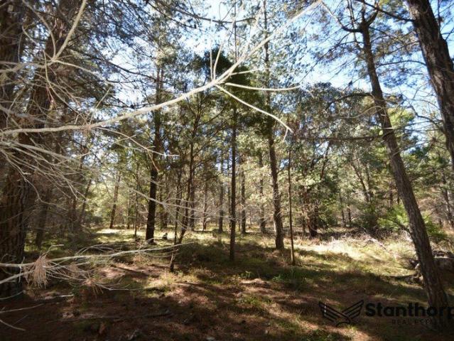 SUGARLOAF A DELIGHTFUL 5 ACRE EX FORESTRY HEAVILY FORESTED