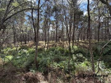 SUGARLOAF VIA STANTHORPE 5 ACRE EX FORESTRY