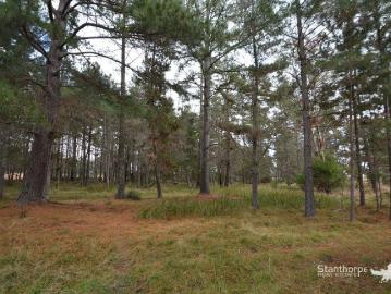 SUGARLOAF VIA STANTHORPE PEACEFUL PINE FOREST BLOCK WITH DAM
