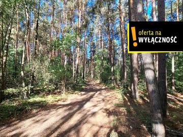 Suków, Gmina Daleszyce, Gmina Daleszyce, Powiat kielecki, Województwo świętokrzyskie