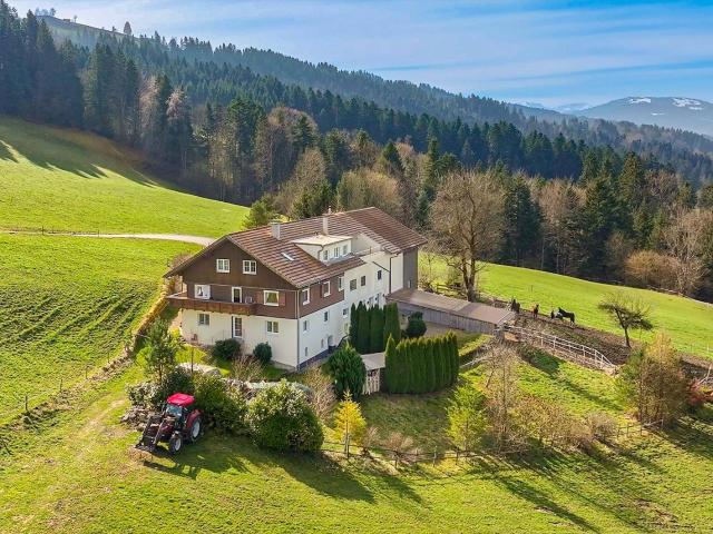 Sulzberg Thal | Mehrparteienhaus | Großzügiges Anwesen mit 50.012 m²
