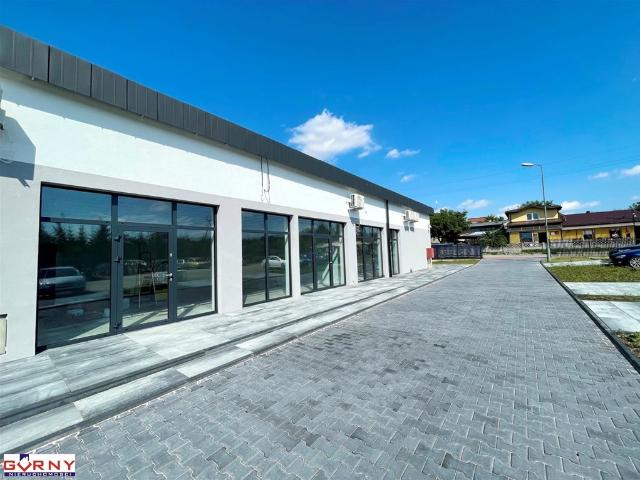 Na wynajem nowoczesne lokale handlowo usługowe 100 m² w Sulejowie