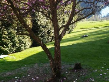 Geistthal-Södingberg, Bezirk Voitsberg, Steiermark