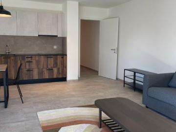 Superb 4.5 room apartment in the Arbora district, Crissier