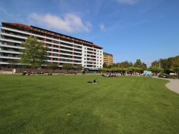 Rue Joseph-Reichlen, Pérolles, Pérolles, Freiburg, District de la Sarine, Kanton Freiburg