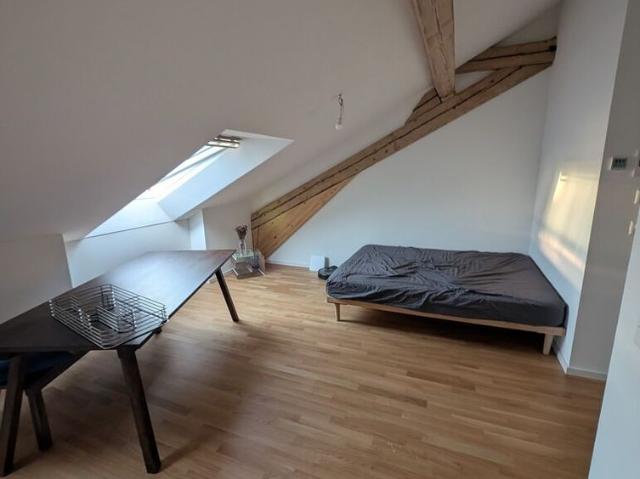 Superb apartment in the heart of Lausanne 1.5 room in the attic