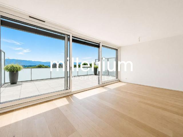 Superb attic duplex with lake and Mont Blanc view in Chêne Bougeries