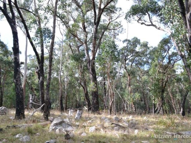 Superb Bush Block 32.99ha 81.5 acres