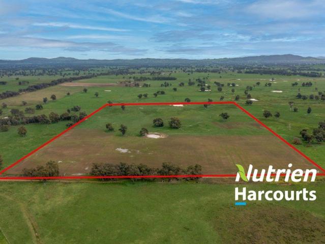 Superb Farming Opportunity