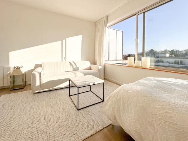 Superb furnished studio for rent