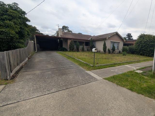 Superb on the South Side