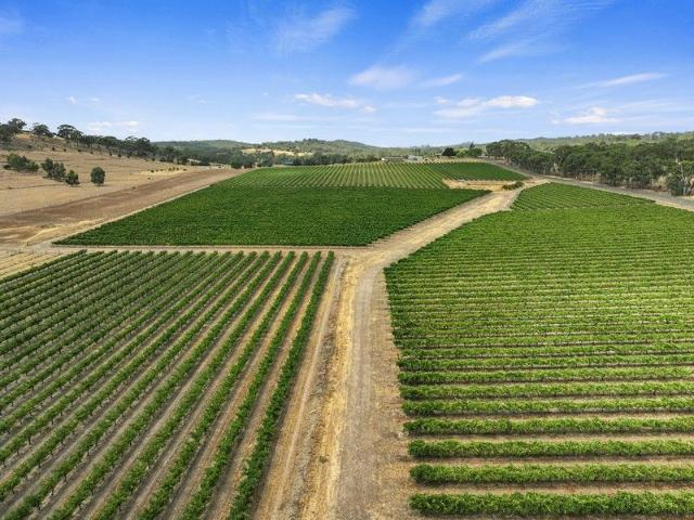 SUPERB LAND HOLDING ADJACENT TO CLARE TOWNSHIP