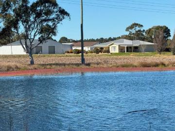 Superb Lifestyle Property Stanthorpe