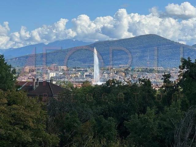Superbe attique 6.5 pièces neuf avec 2 terrasses et vue près de l'ONU