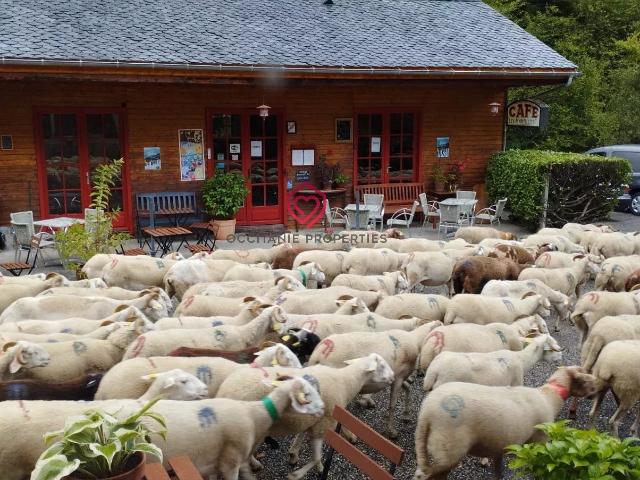 Superbe affaire, auberge et café en montagne