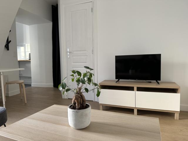 SUPERBE APPARTEMENT MEUBLE LUMINEUX QUARTIER CHATELET LES HALLES