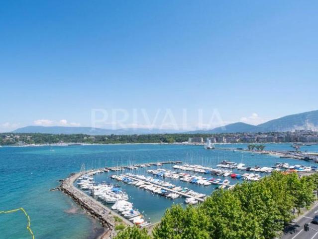 Superbe appartement d'exception au Quai Wilson