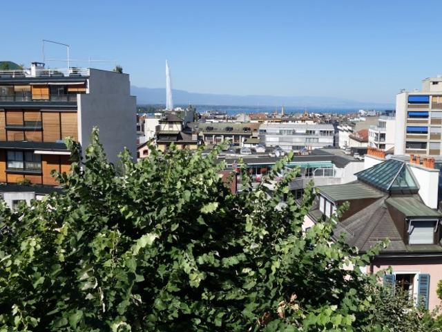 Superbe appartement en attique de 5,5 pièces au centre ville Comptoir Immobilier