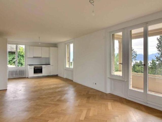 Superbe appartement entièrement rénové avec vue imprenable sur le lac