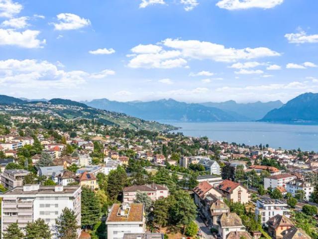 Superbe appartement rénové avec cheminée