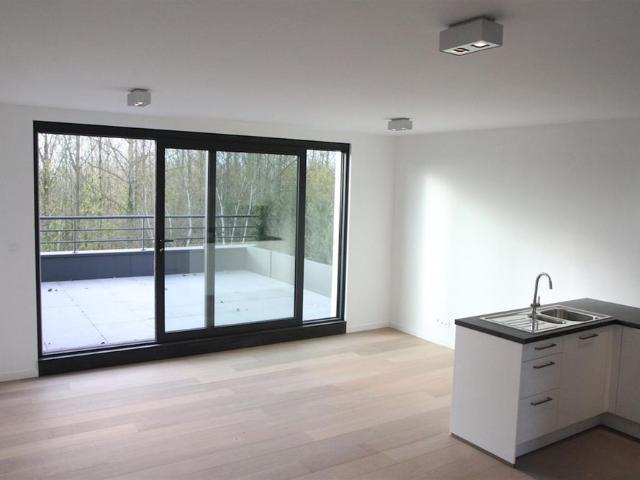 Superbe Duplex 2 chambres D1 + parking + terrasses