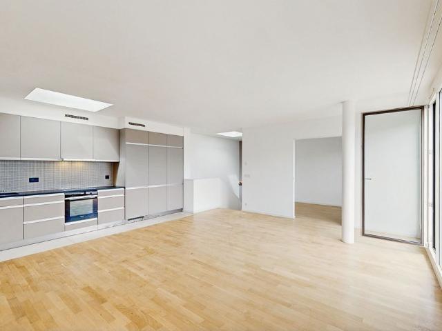 Superbe duplex en attique au Grand Lancy