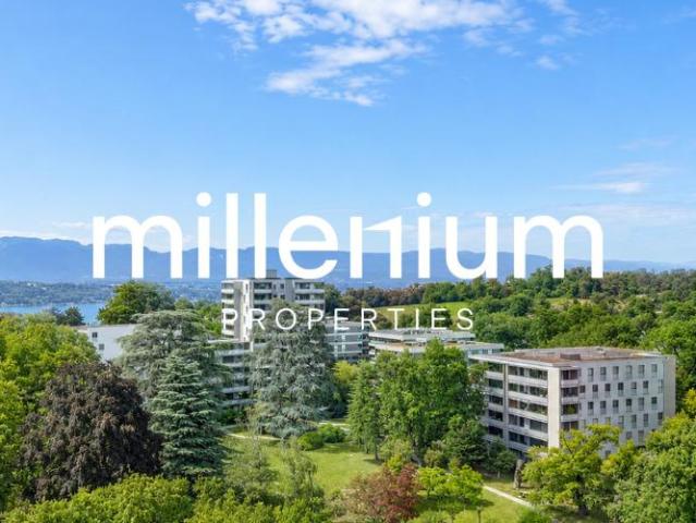 Superbe duplex en attique avec vue Lac et Mont Blanc à Chêne Bougeries