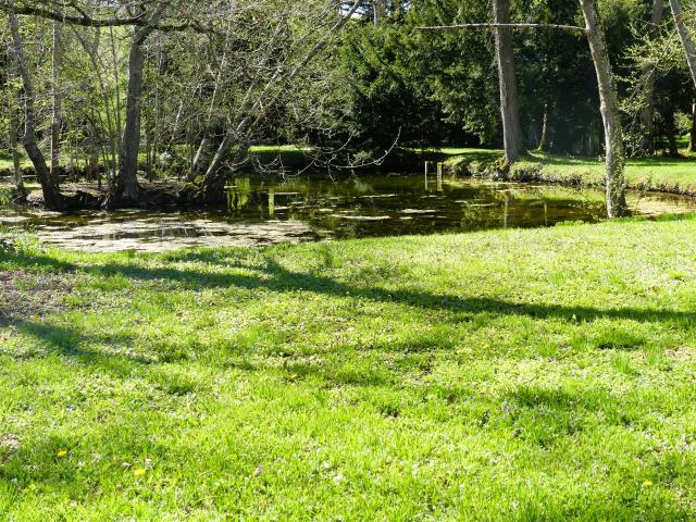 Superbe Domaine Sur Parc 210m² Escolives Sainte Camille