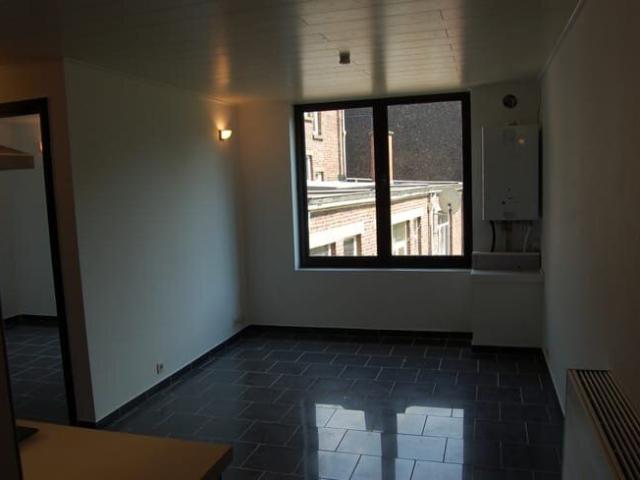 SUPERBE PT APPARTEMENT FACE GRD PARC DE MARCHIENNE