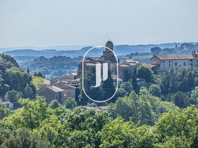 Superbe propriété, dépendances et terres de 4 Ha à vendre 132m² Puyméras