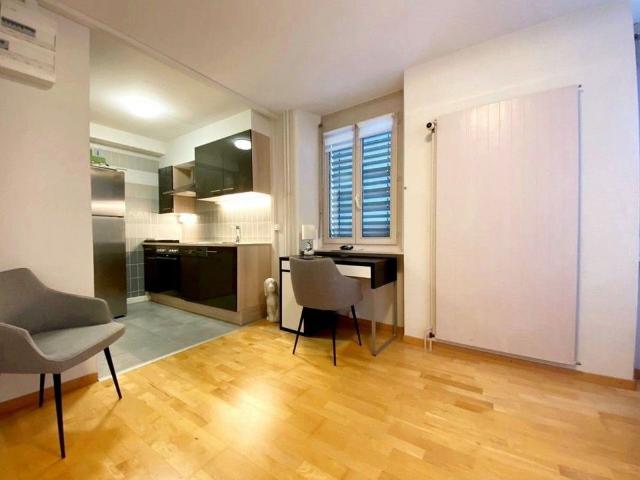 Superb furnished studio / Downtown Nyon
