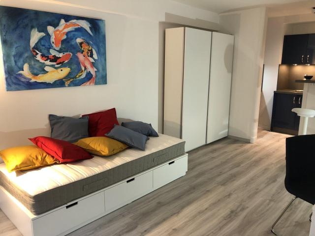 superbe studio meublé lumineux centre ville