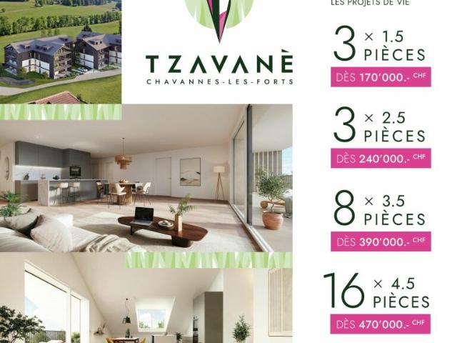 Superbe 3.5 pièces idéal pour investissement en pleine campagne