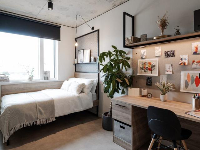 Superior Ensuite @ YourTRIBE Southwark – £358 pw |