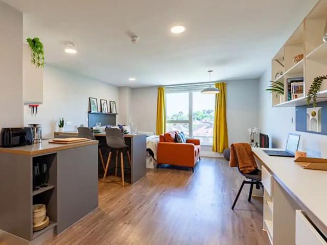 Luxury Gold Studio