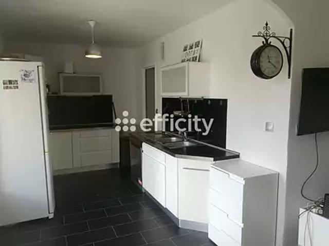 Sury le Comtal 42450 Achat / Vente appartement 3 pièces t3 cave balcon