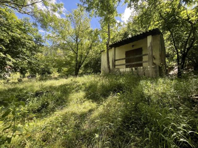 Sur 1 500m², à rénover