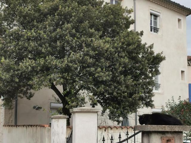 Sur la commune de MONTELIMAR 26 un T2 de 41m² proche des commerces