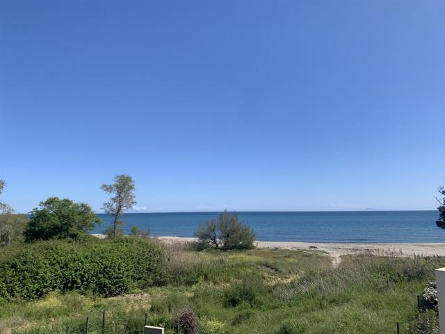 Sur La Plage De Bravone type 3 45m² Canale di Verde