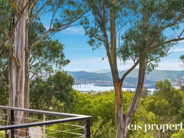 Surprising home among the treetops with views & lots of space for everyone!