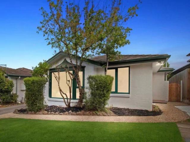 Surrey Hills Sanctuary: Fully Renovated Stylish Living Awaits
