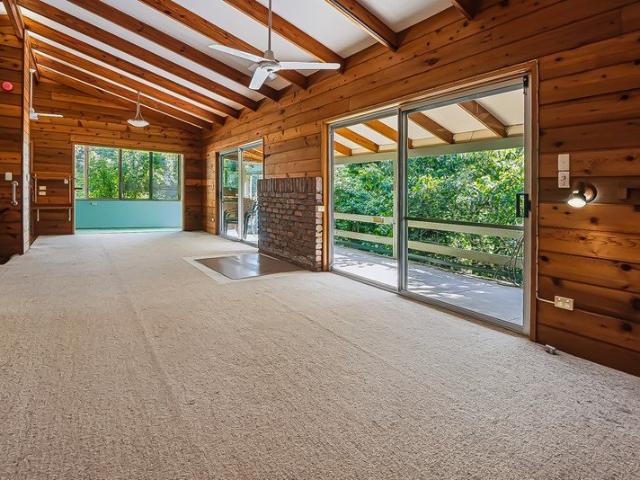 Surrounded by Nature in Springbrook
