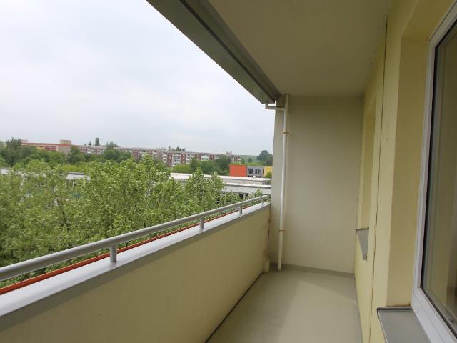 Süße und praktische 1 Raum Wohnung